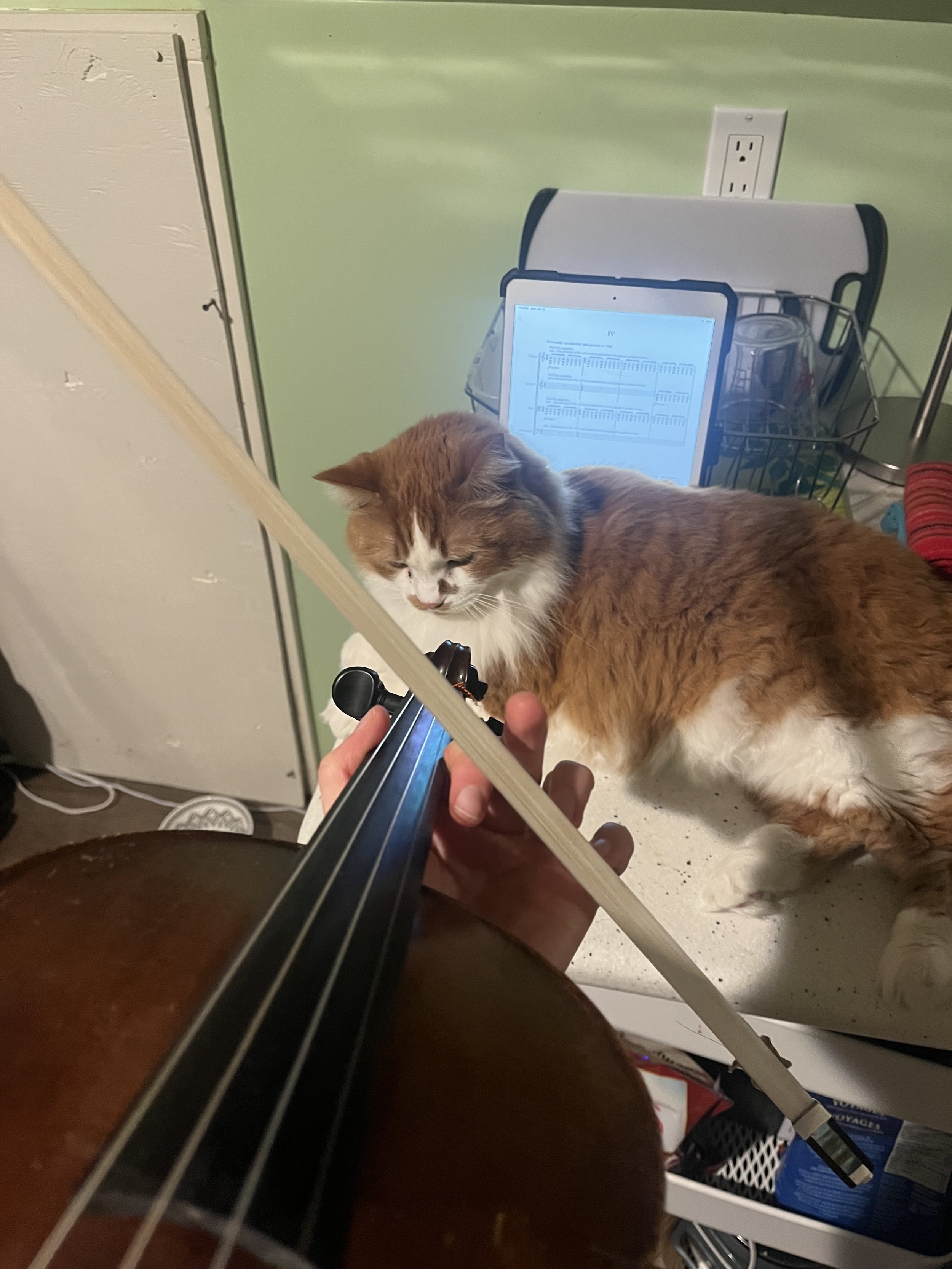 Salvador Dali and I practice Amir Sanjari's music together