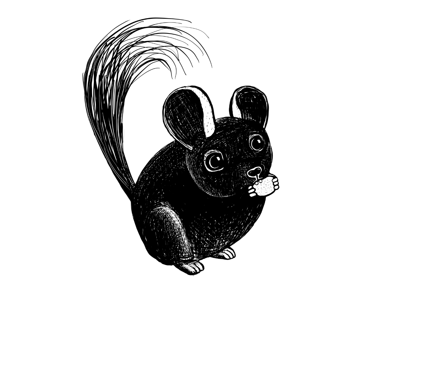 Chinchilla.png
