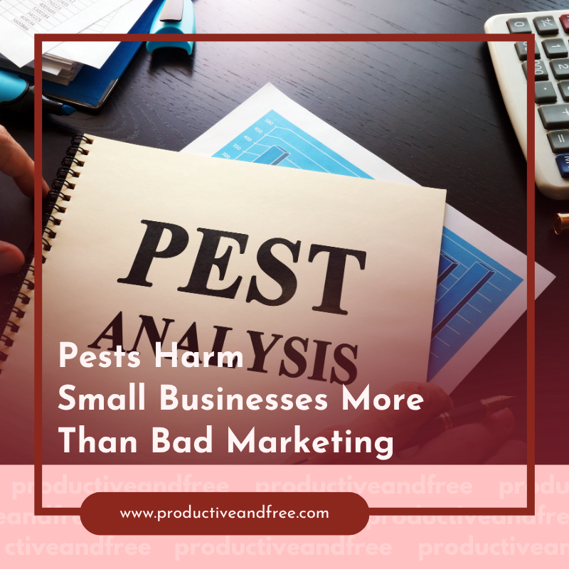 Pests Harm Small Businesses More Than Bad Marketing