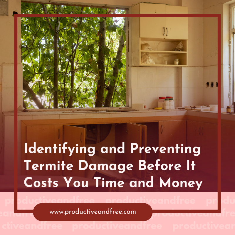 The Beginner's Guide to Identifying and Preventing Termite Damage Before It Costs You Time and Money