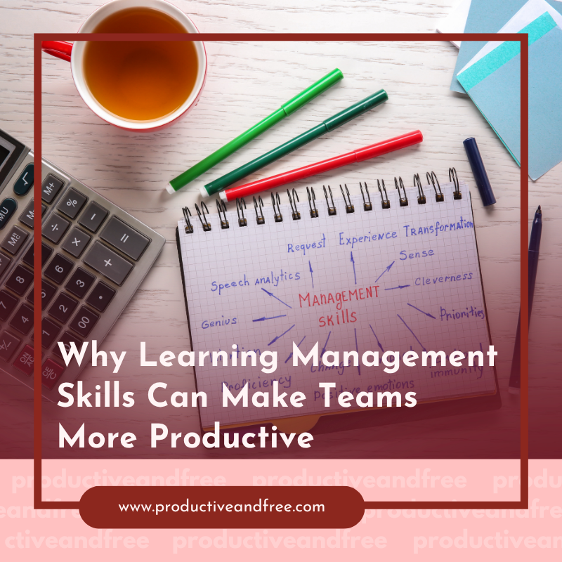 Why Learning Management Skills Can Make Teams More Productive