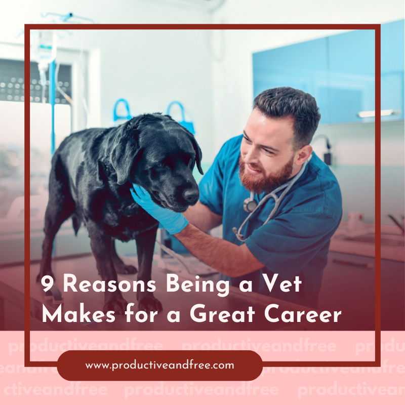Being A Vet | ProductiveandFree