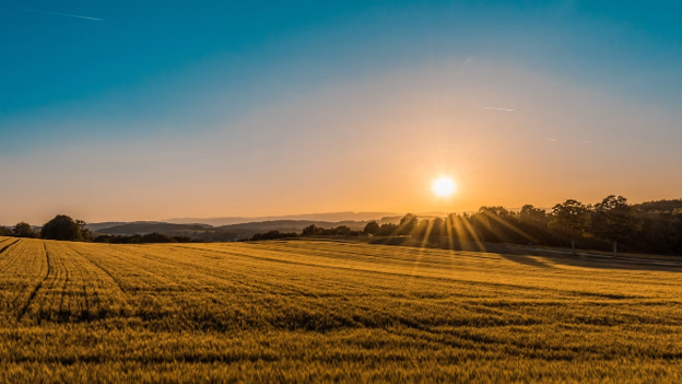 Sustainable Investing | ProductiveandFree