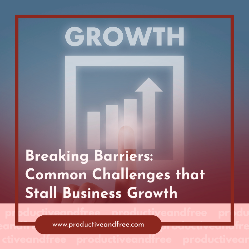 Breaking Barriers: Common Challenges that Stall Business Growth
