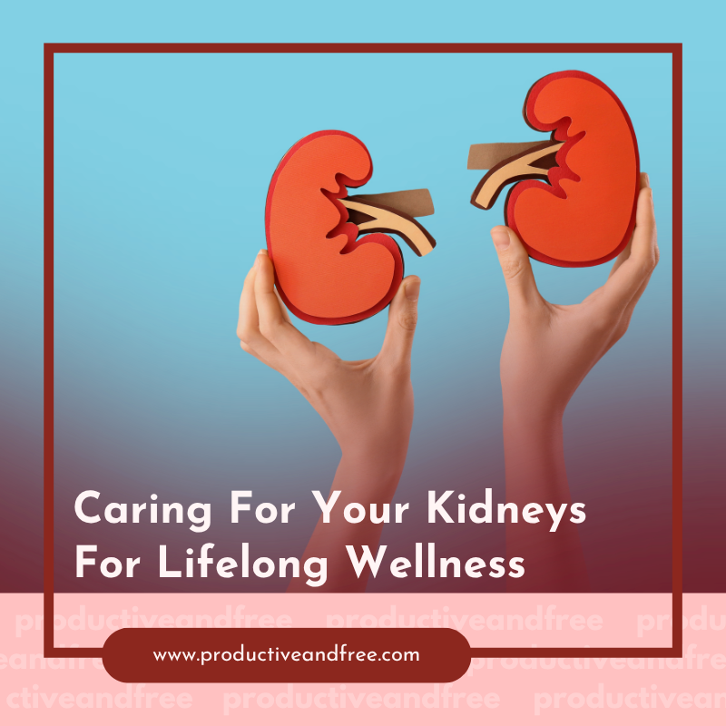 Kidney Wellness | ProductiveandFree