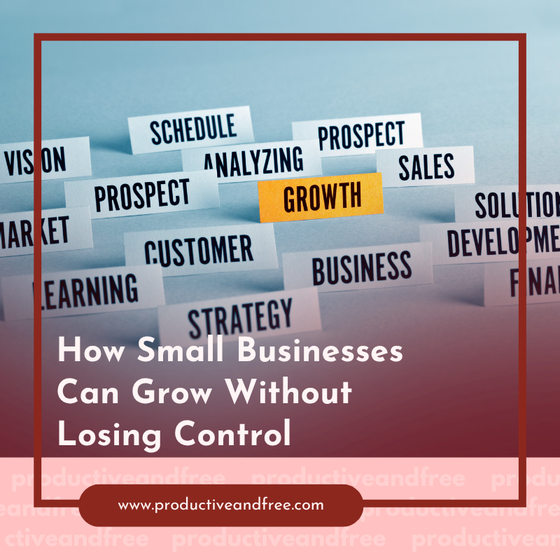 How Small Businesses Can Grow Without Losing Control