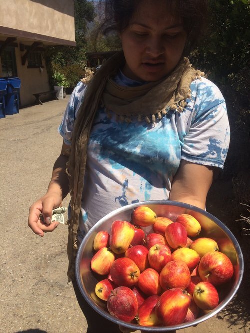  young woman with apples 