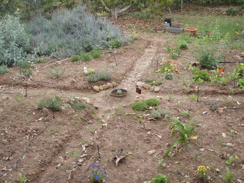  The beginning of a garden space 