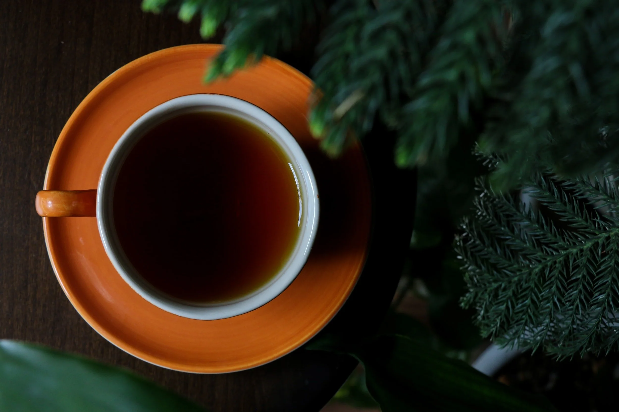 unsplash-image-7ffS5VydFBA.jpg