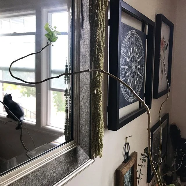 Love these words by @morganharpernichols! Infusing Monday morning with some serious gratitude 💯 ⠀⠀⠀⠀⠀⠀⠀⠀⠀⠀⠀⠀ ⠀⠀⠀⠀⠀⠀⠀⠀⠀⠀⠀⠀ ⠀⠀⠀⠀⠀⠀⠀⠀⠀⠀⠀⠀ &quot;When you start to feel like things should have been better this year, remember the mountains and valleys tha