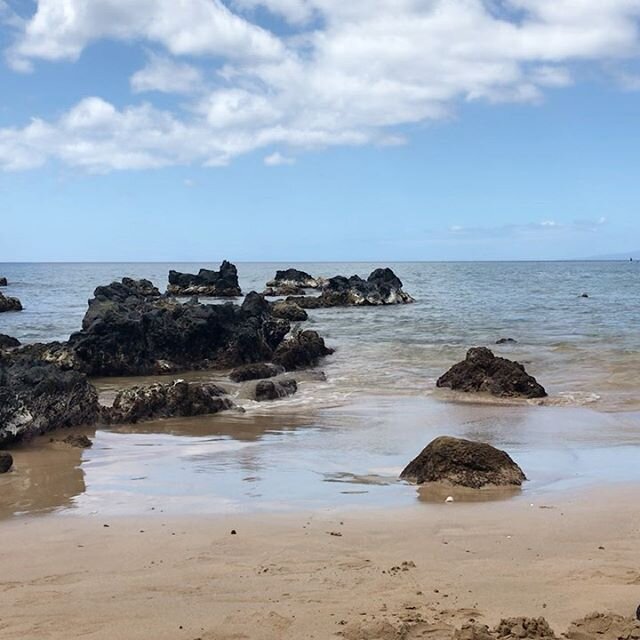 I&rsquo;ll be back in Hawaii this March at The Maui Retreat - and there are a few spots left!
.
My experience last year was life altering in the most MAGIC of ways ✨morning ocean front yoga, a chef to prepare healthy meals, a Practice to reconnect yo