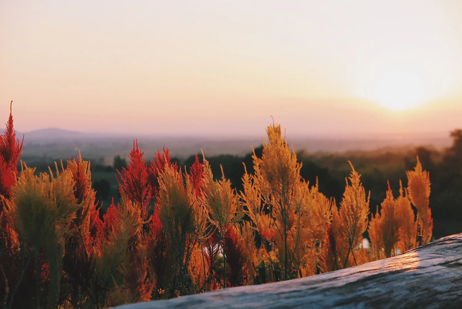 Filter out the noise, focus on the meaningful