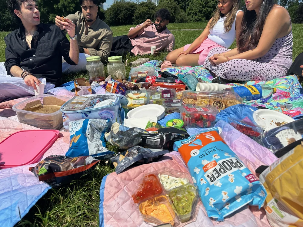 Karthik's birthday picnic