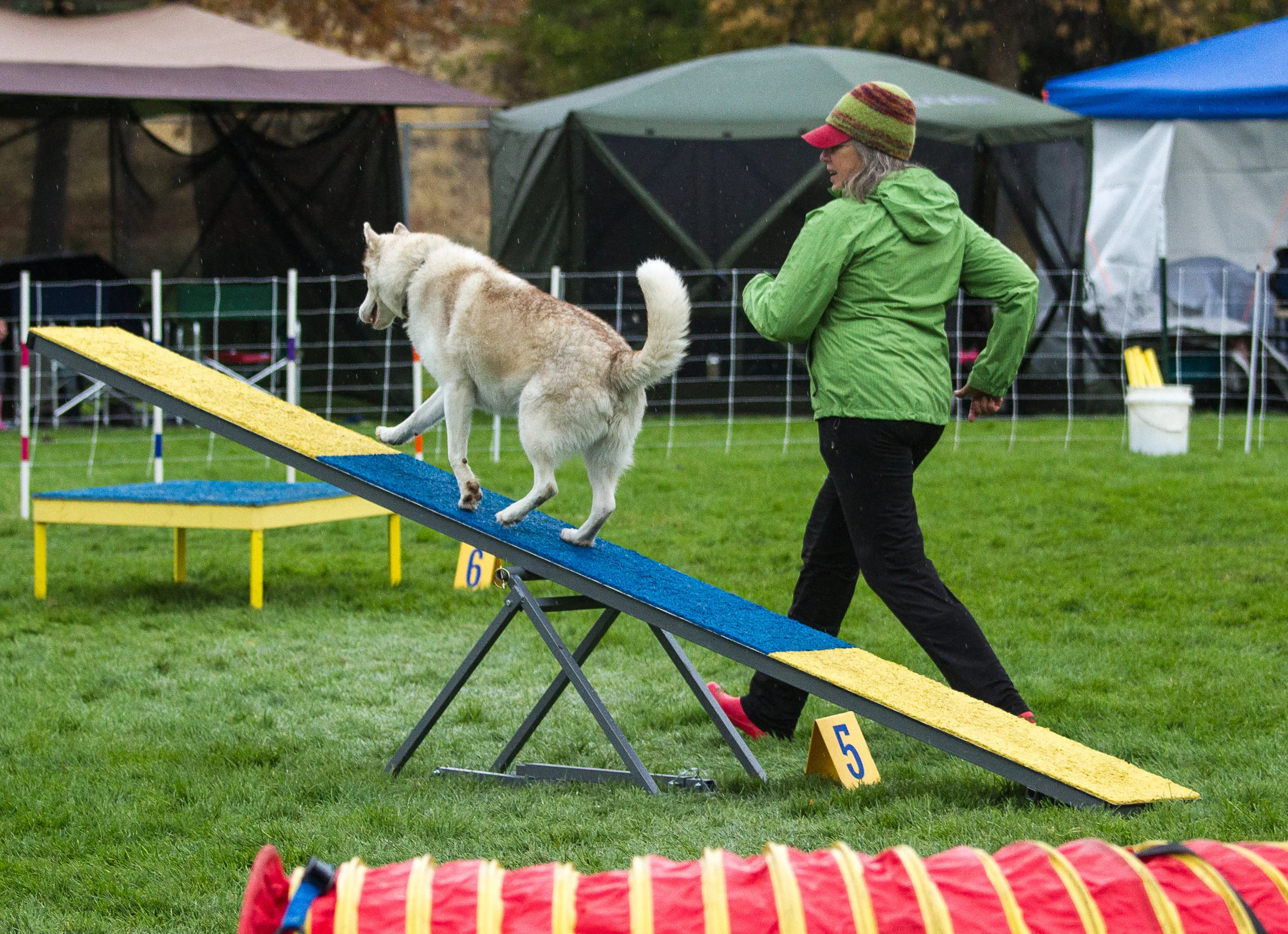 Wenatchee Kennel Club