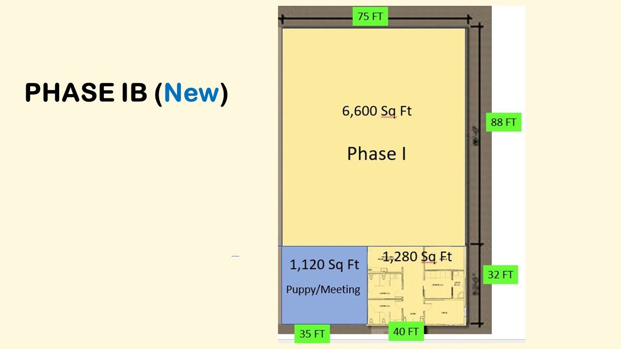 Phase I-B