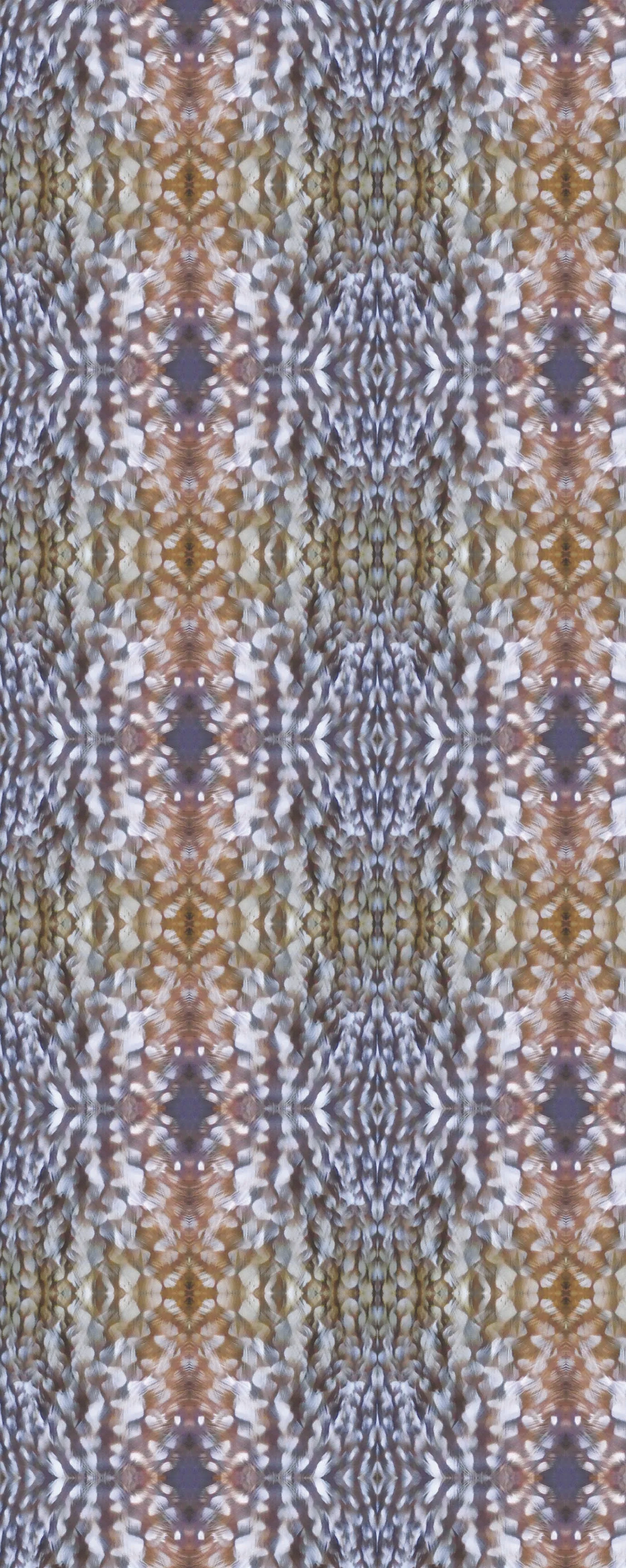 Ruru