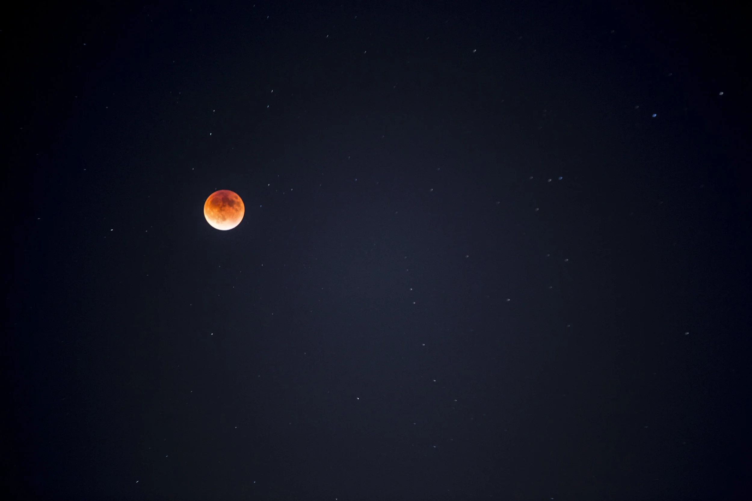 _F4A4339.jpg