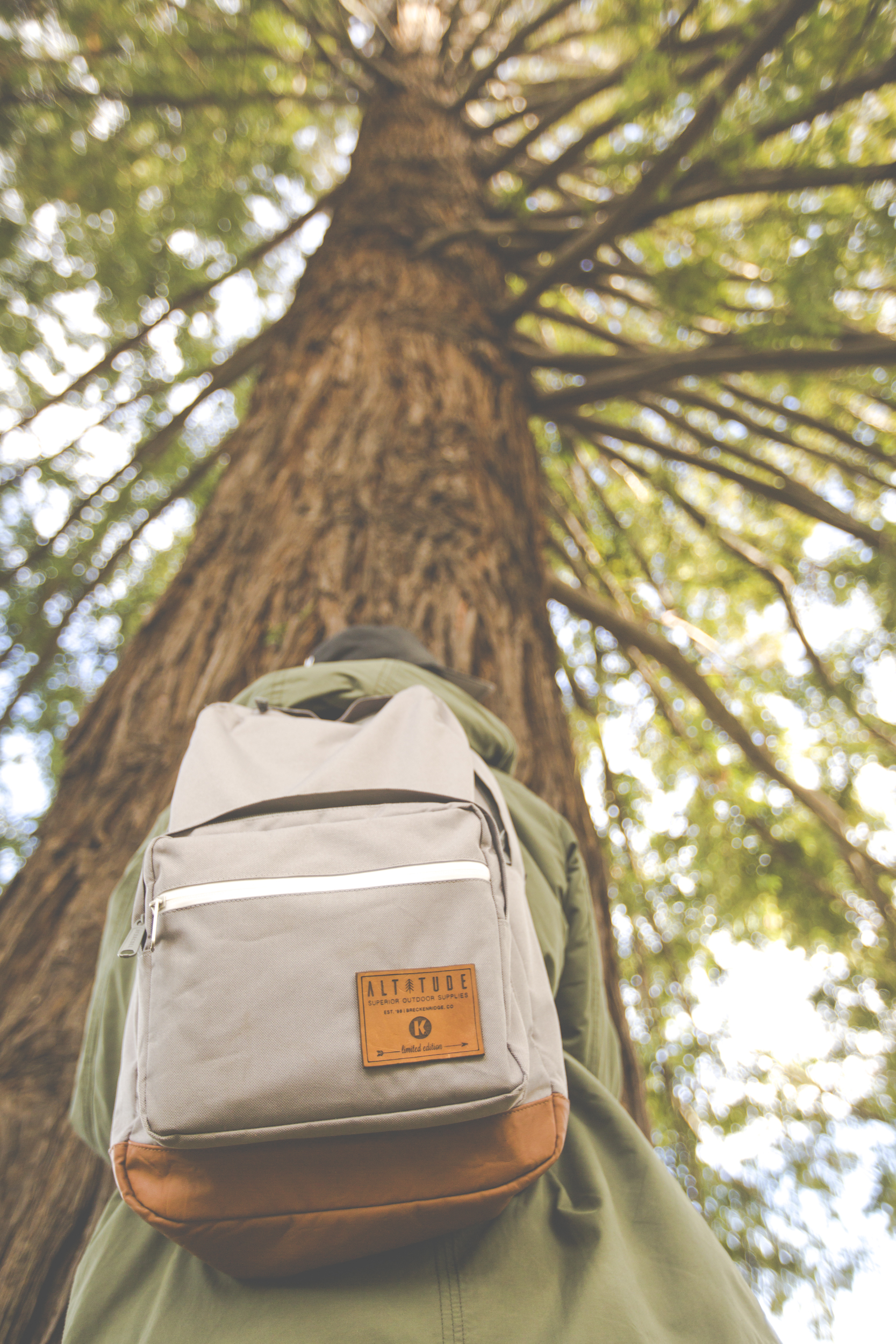 Great Photos Can Be Taken Anywhere!