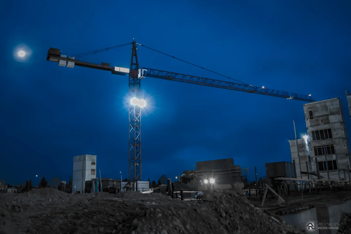 Blue Crane.jpg