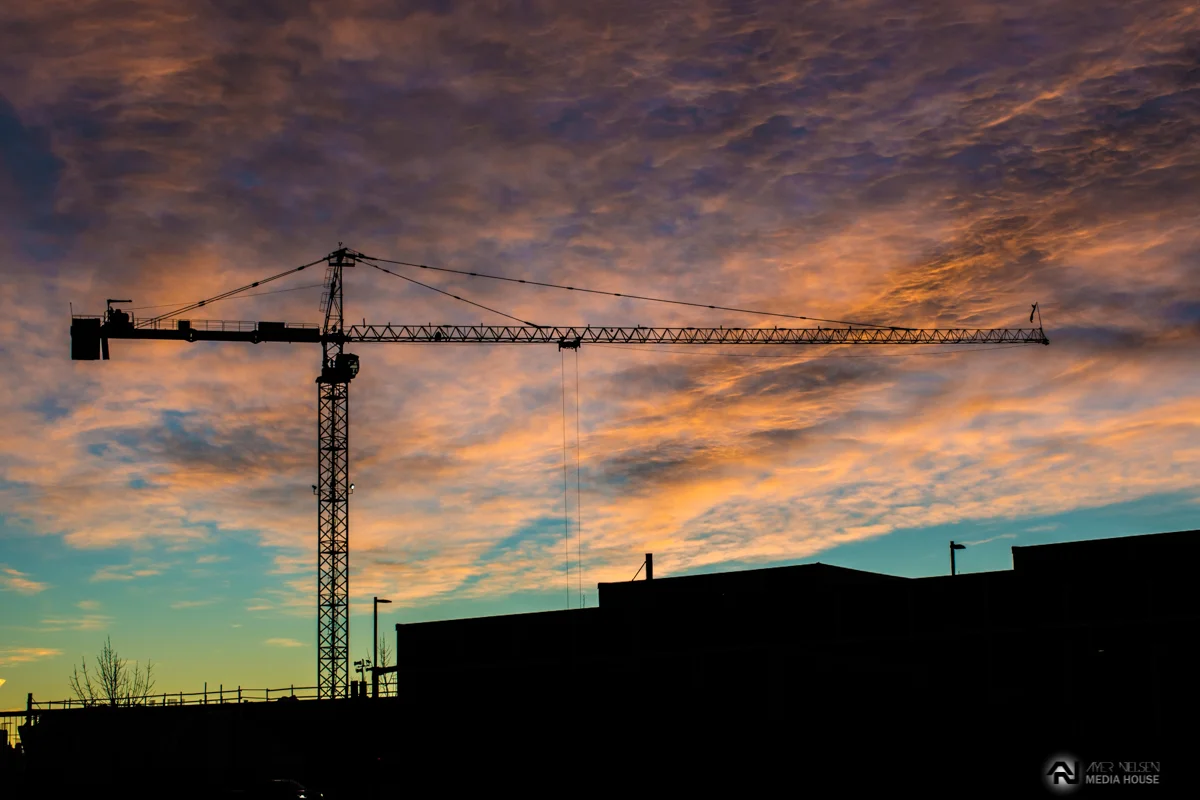 Colorful Crane.jpg