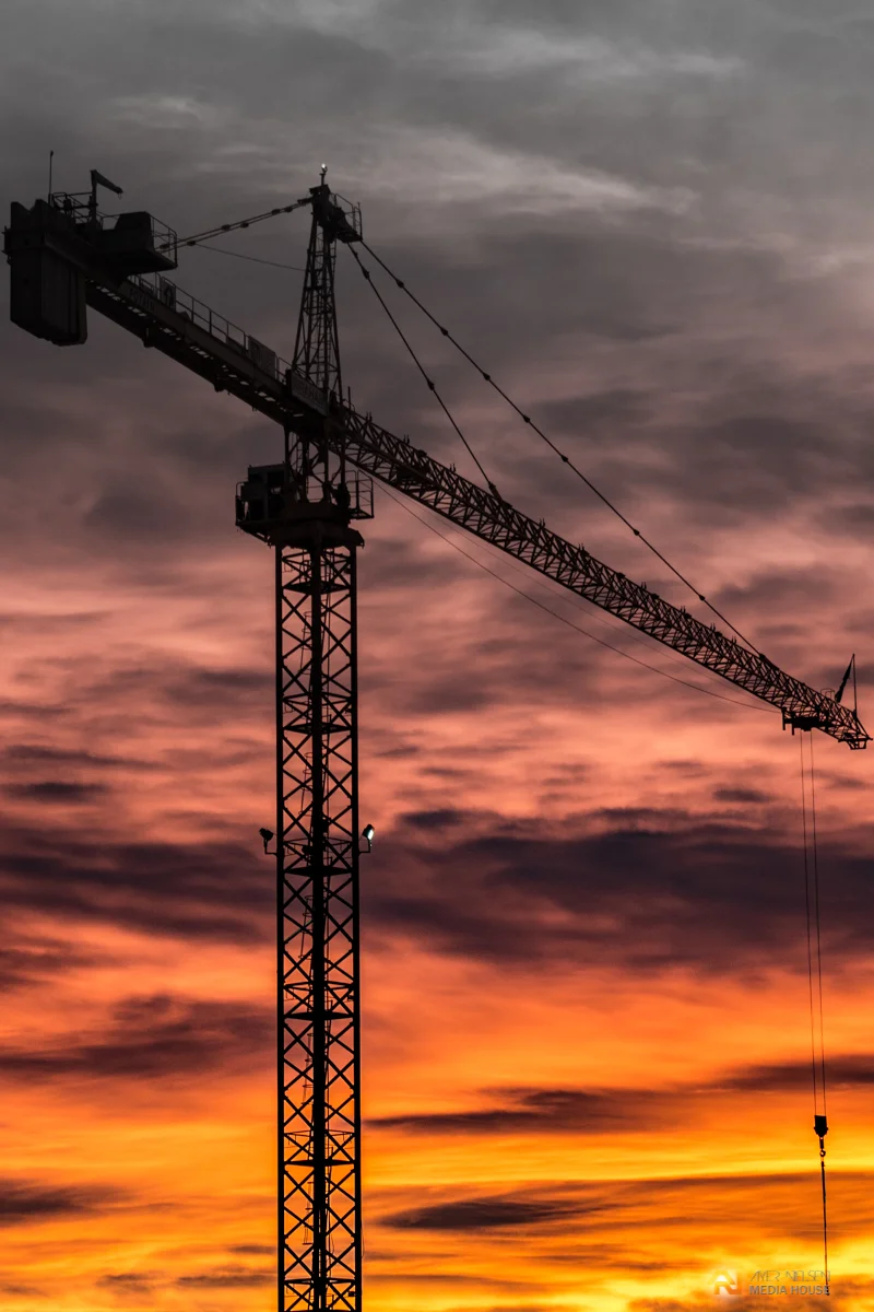 Crane Portrait.jpg