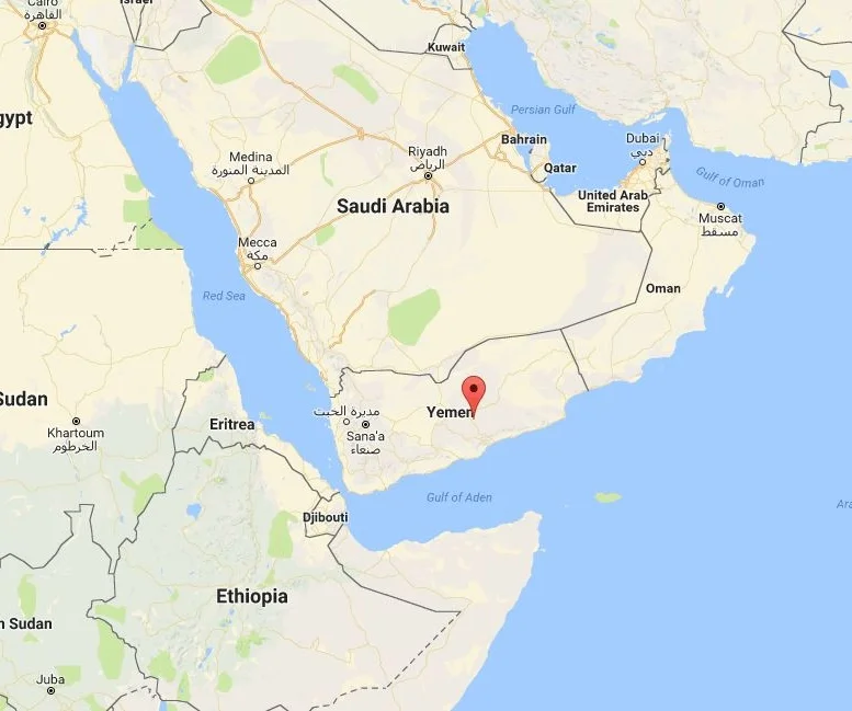 Yemen bans ground missions after raid