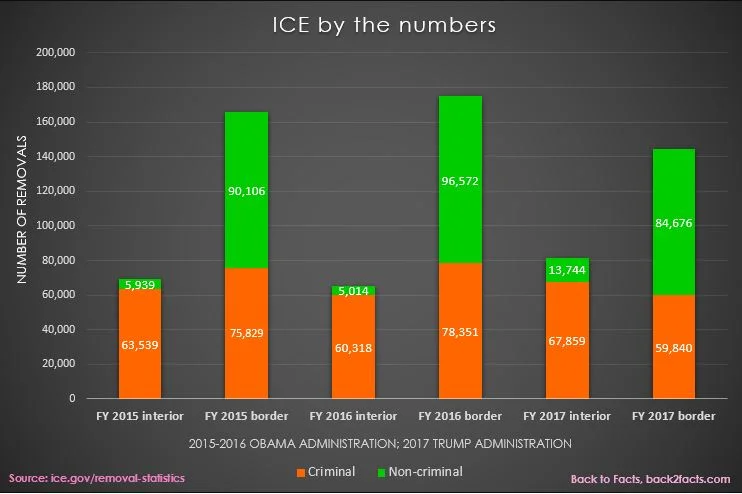 ICE by the Numbers