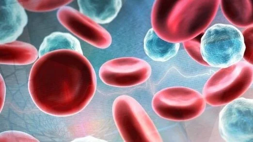 No antigens? Even better, you may have T-cells that remember Corona