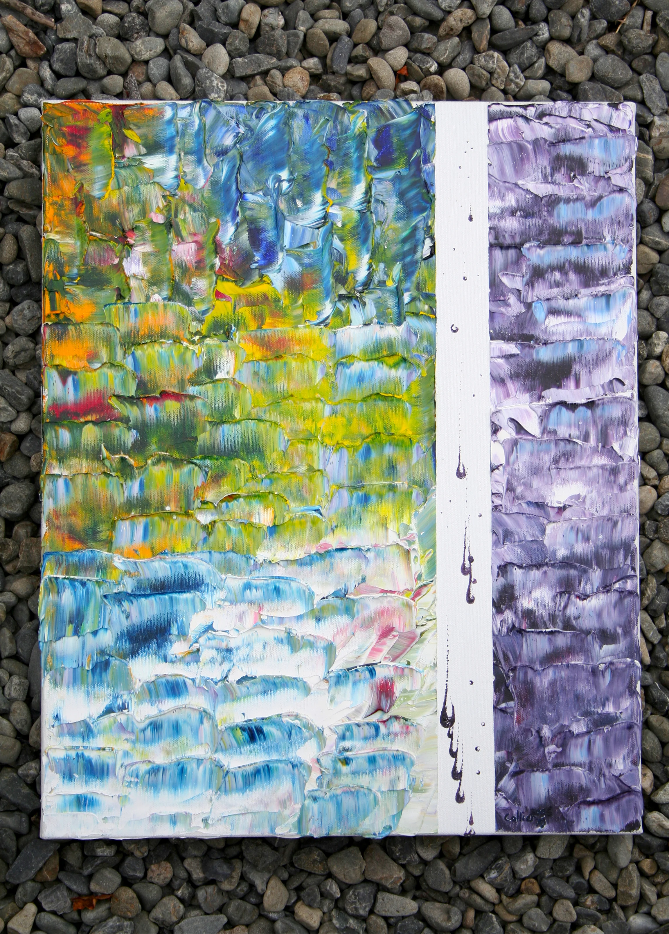 2/3 West Coast Series 2006