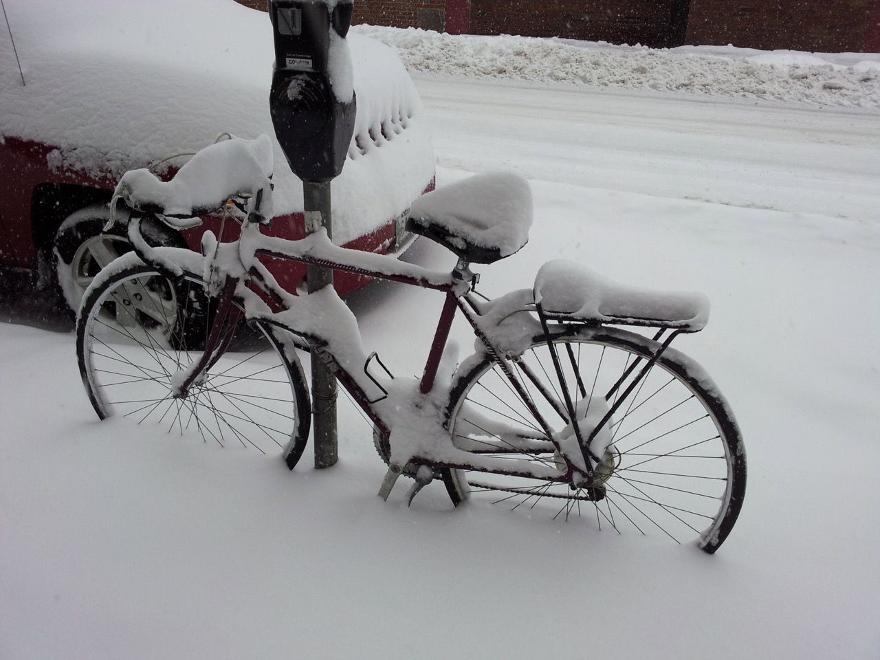 This bike screeches for unknown reasons.