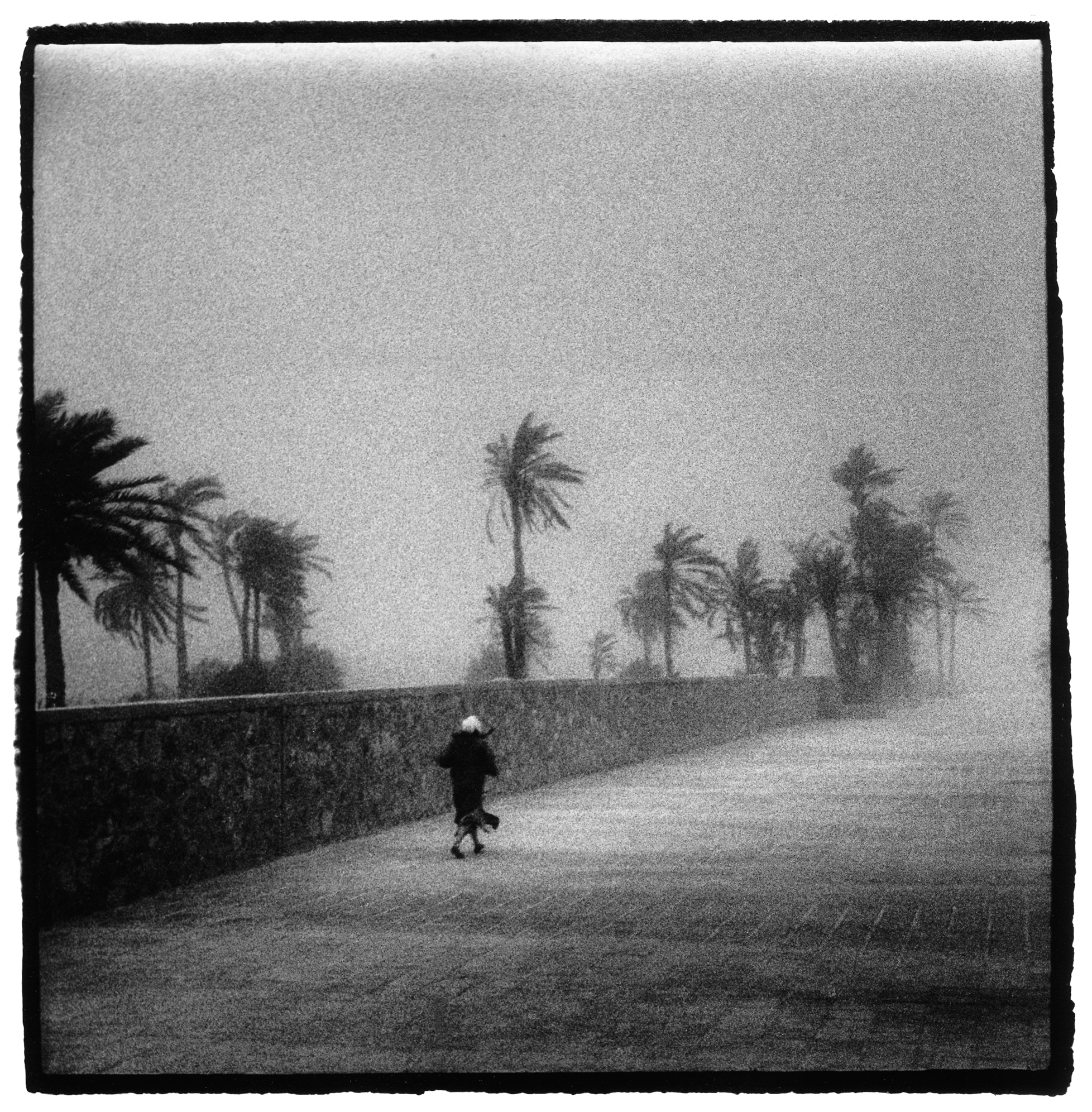 Atomic winds Morocco copy.jpg