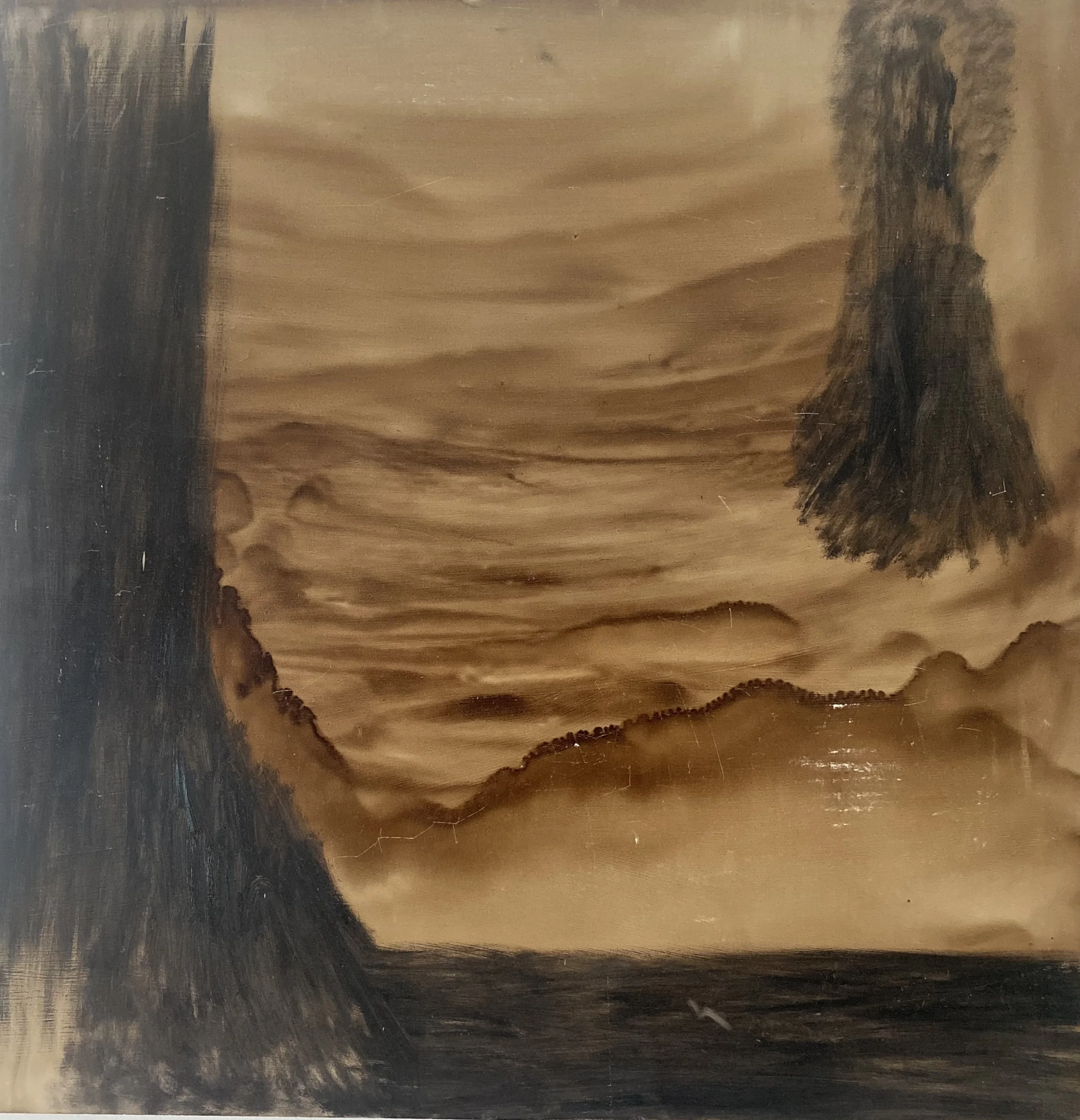 65734837534__2BBBE0F4-E794-4AE3-8462-5543D6B910F5.JPG