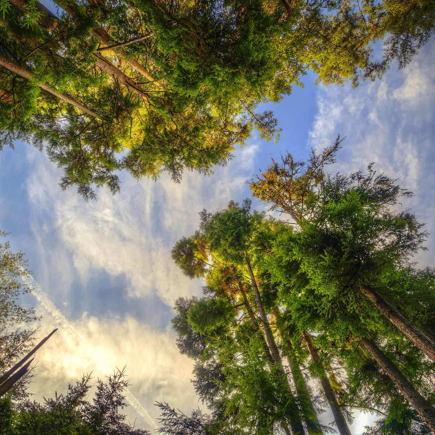 _DSC7462_3_4_5_6_tonemapped.jpg