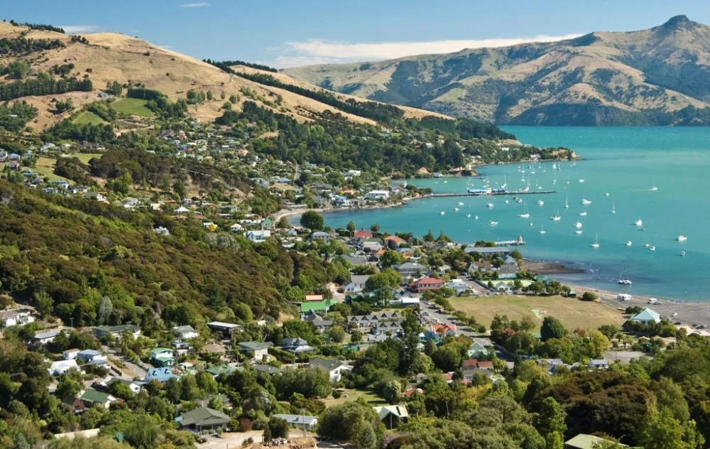 Beautiful Akaroa Bush.jpg
