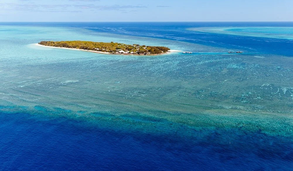 reef3.jpg