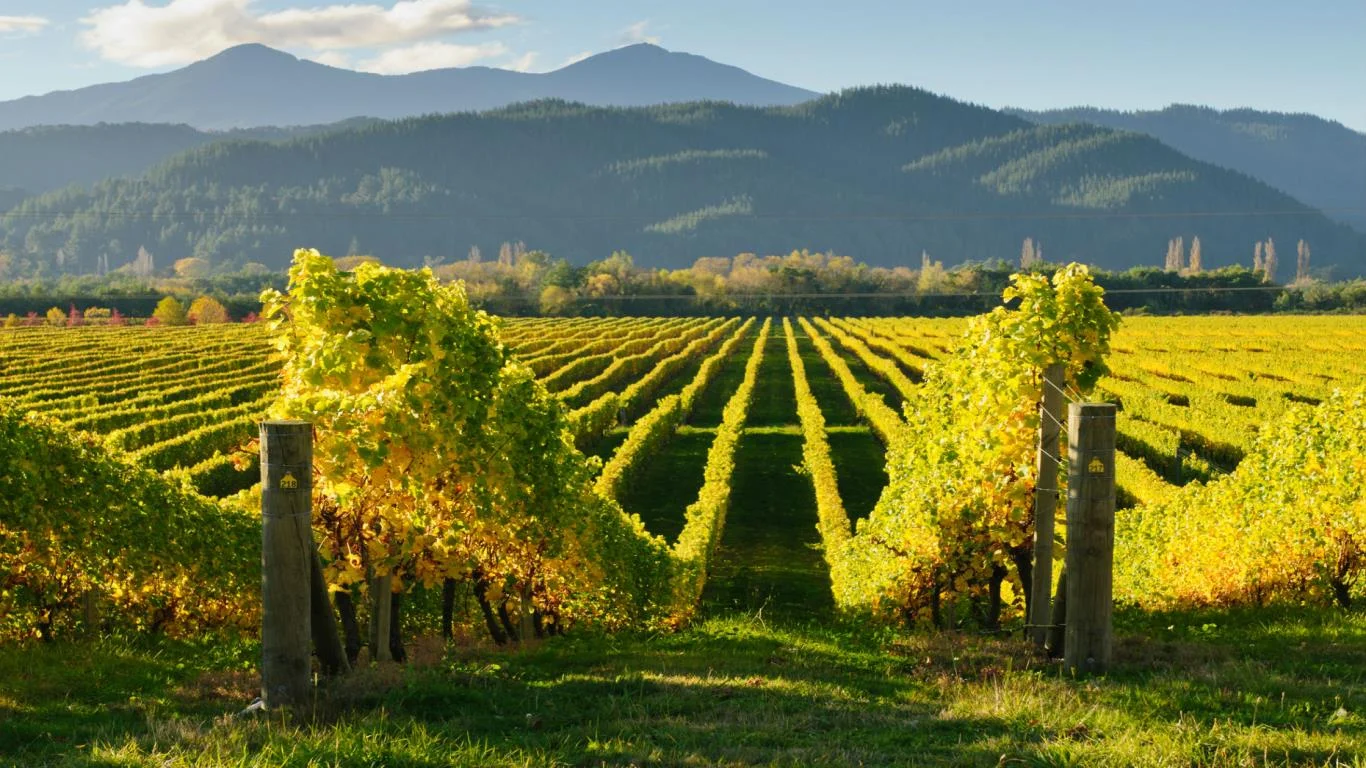 Hawkes Bay