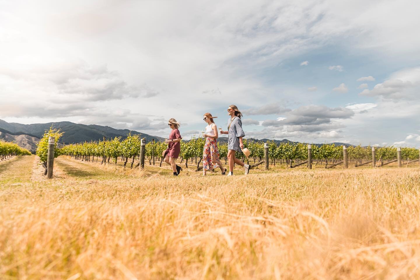 Indulge with an intimate Marlborough wine tour in our iconic wine region with our friends at @marlboroughtourcompany. Taste award-winning wines and explore the picturesque vineyards and wineries. 

Go slow, enjoy a winery lunch and a behind the scene