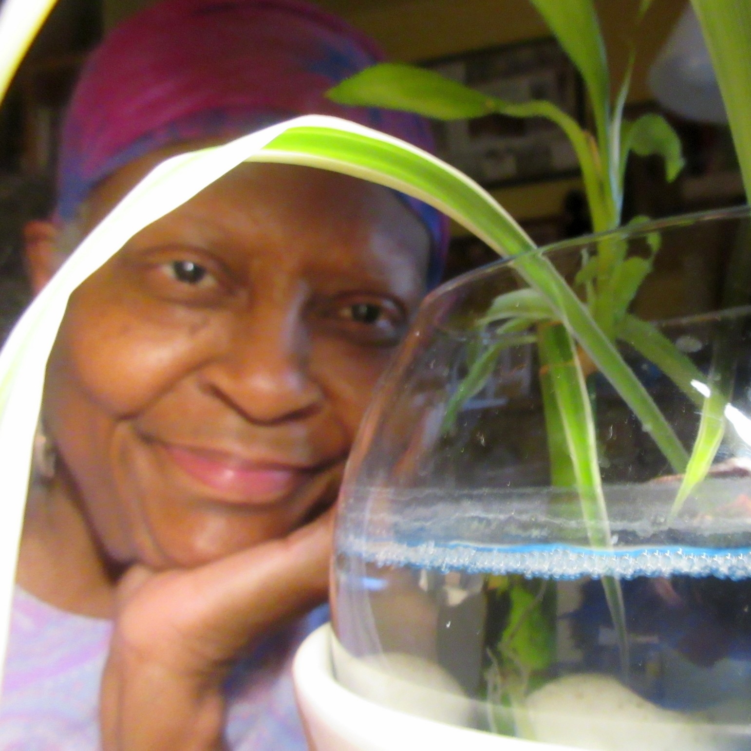 Loretta Martin lives in a Chicago suburb with her artist husband, Phil, and Charlie, a Siamese fighting fish that gives her the “fish eye” when she’s plays online Scrabble to avoid writer’s angst. A former blogger, Loretta writes fiction and nonfiction for in-print and on-line publications . Her work has appeared in Every Writer, Short Fiction Break, and Senior Alley.