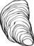 Oyster.png