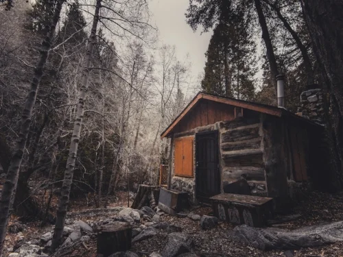 abandoned-broken-cabin-428427.jpg