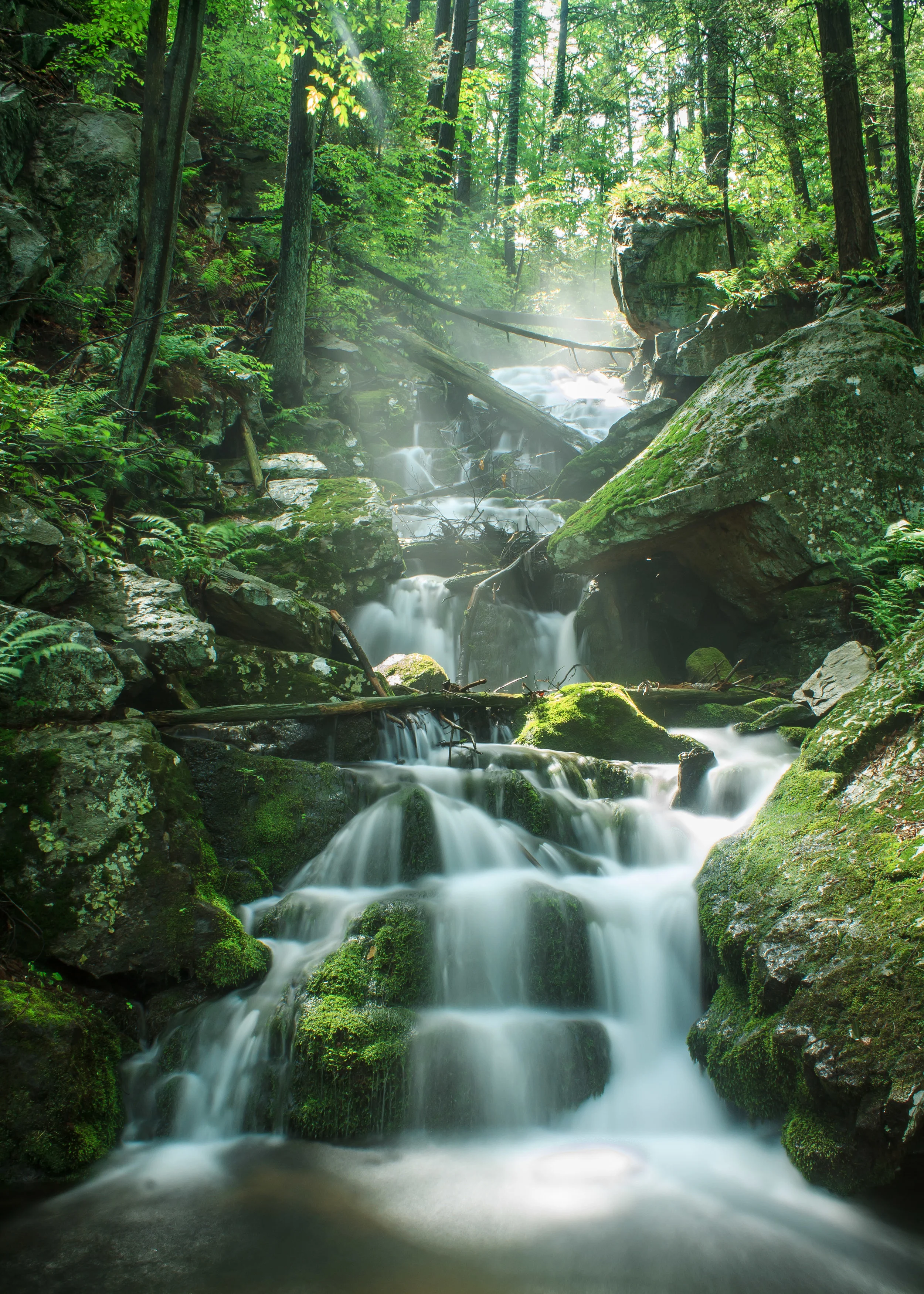 01_Acyriggs_Falls.jpg