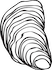 oyster small.png