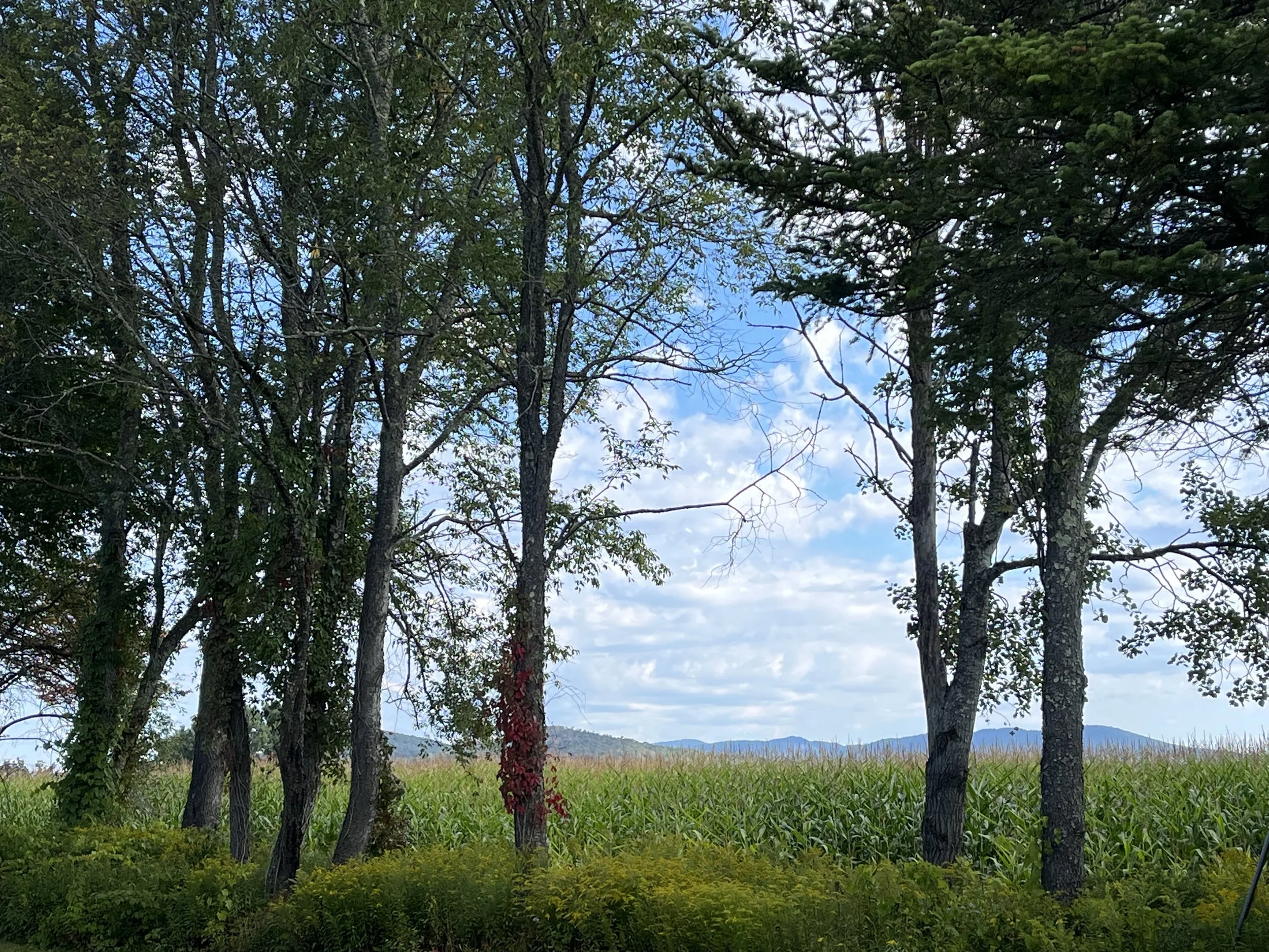Backroad views of Vermont in September. Photos  by Beth Kanell.