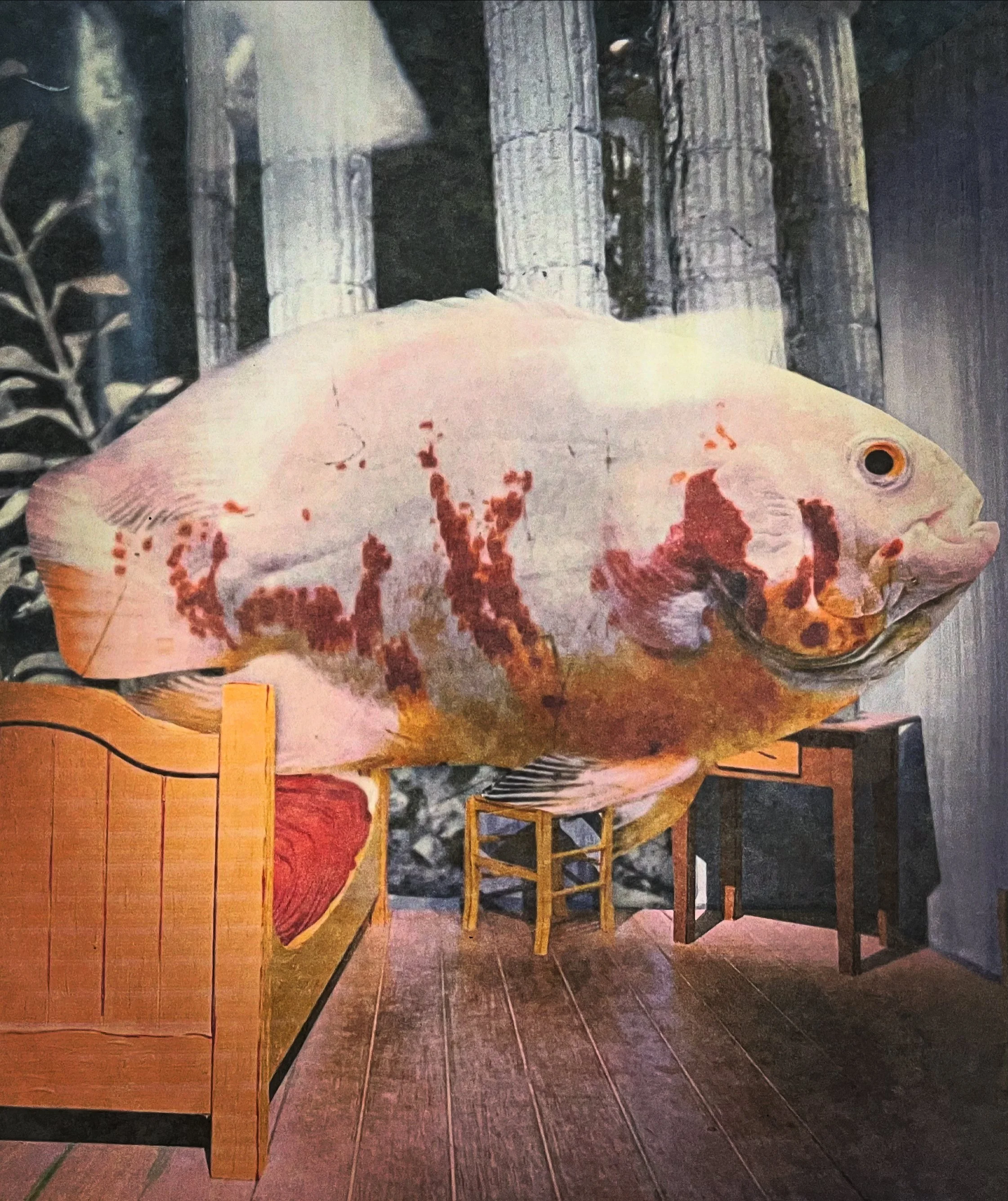 Don't Mention the Koi in the Room