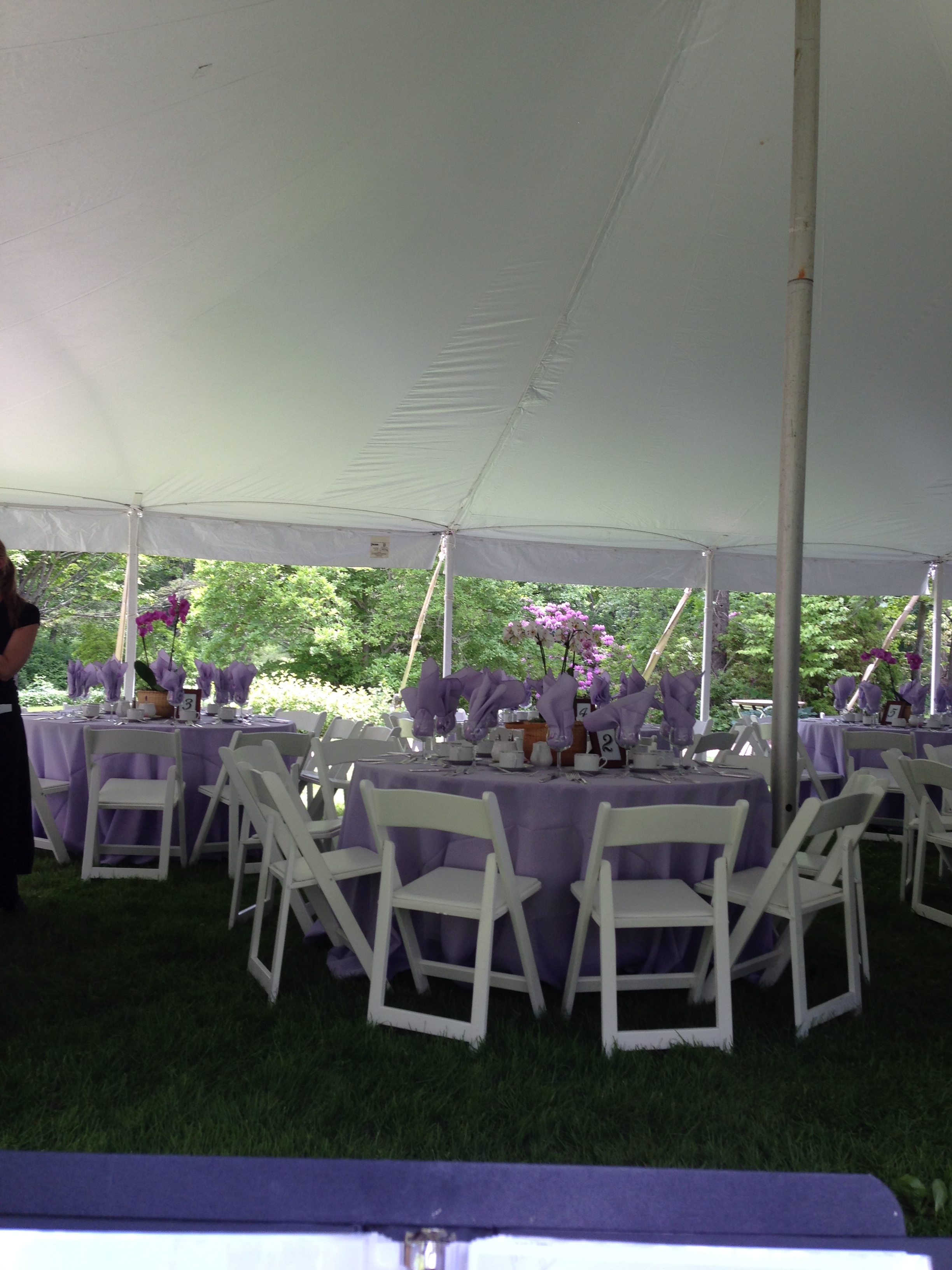 Outdoor Tent Luncheon with Solo Cello