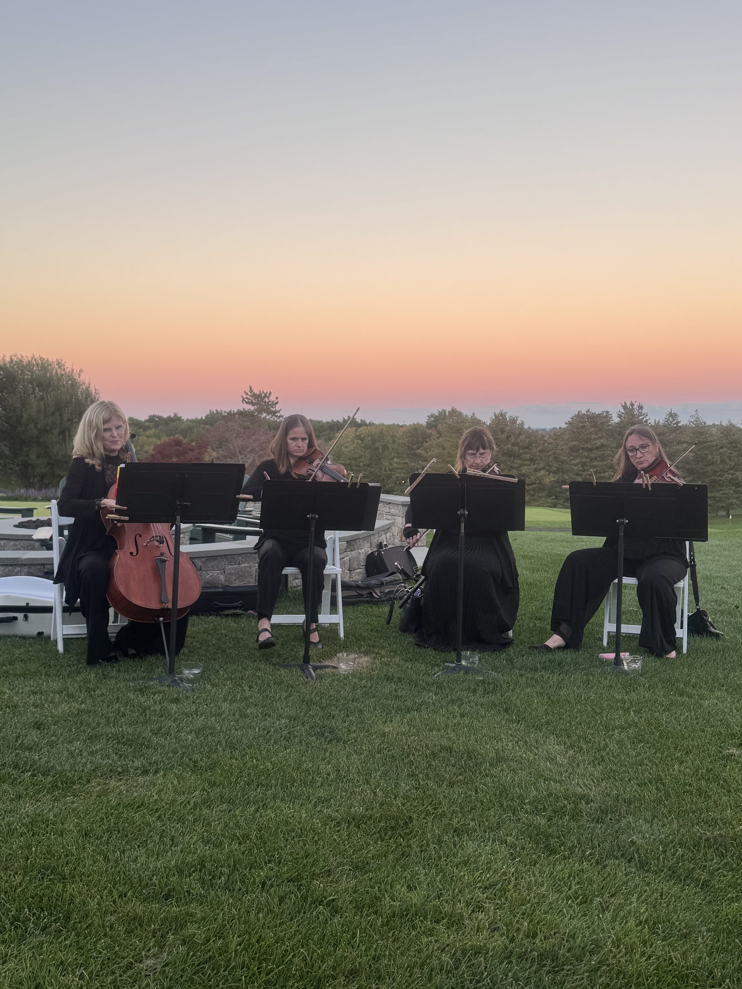 String Quartet HGC 100326 - Copy (2).jpeg