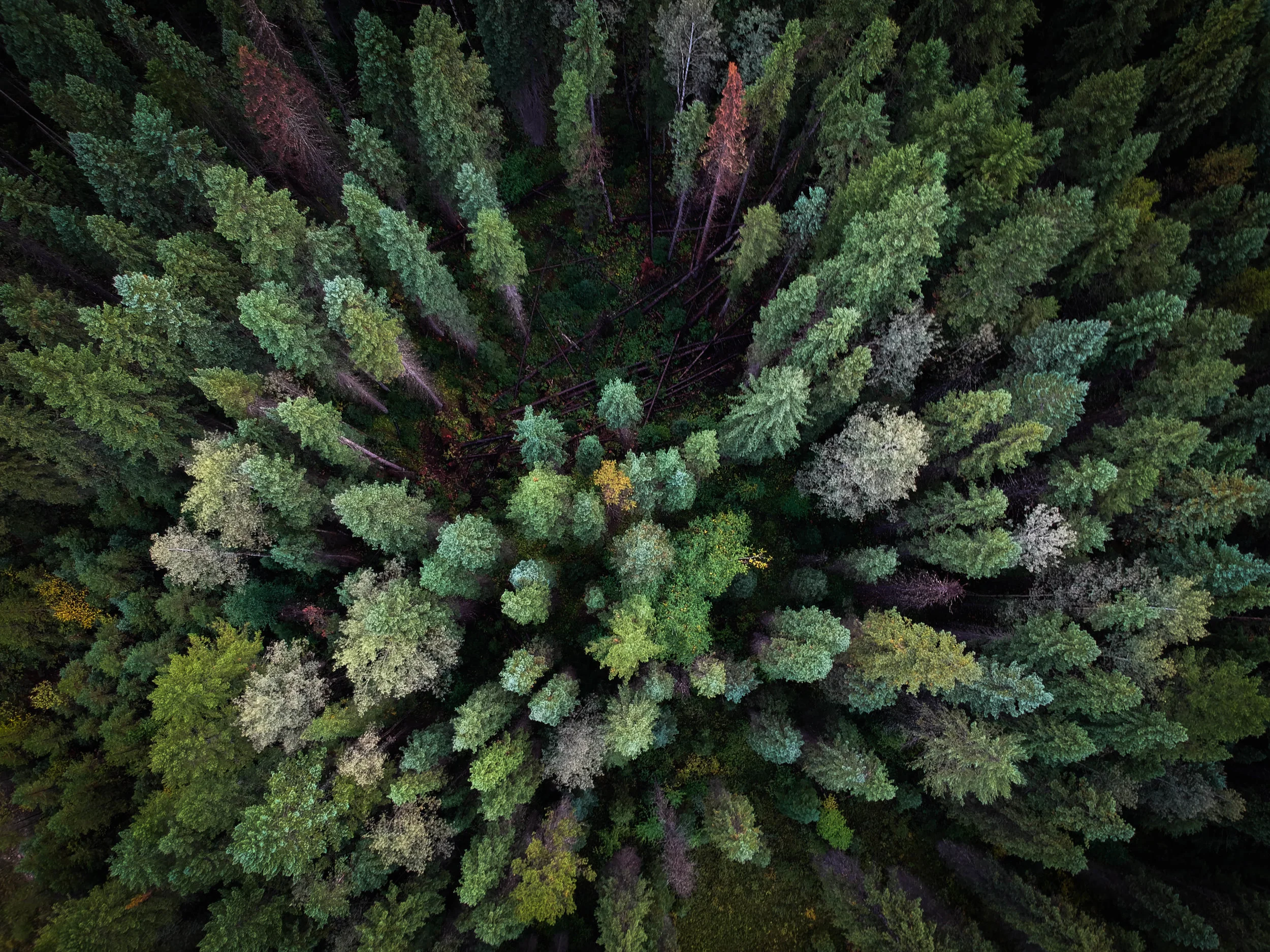 DJI_0082.jpg
