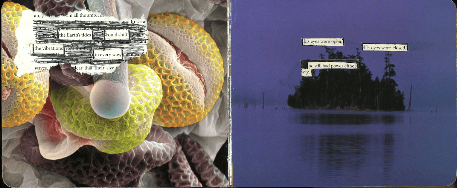 Screen Shot 2021-02-22 at 9.06.59 PM.png