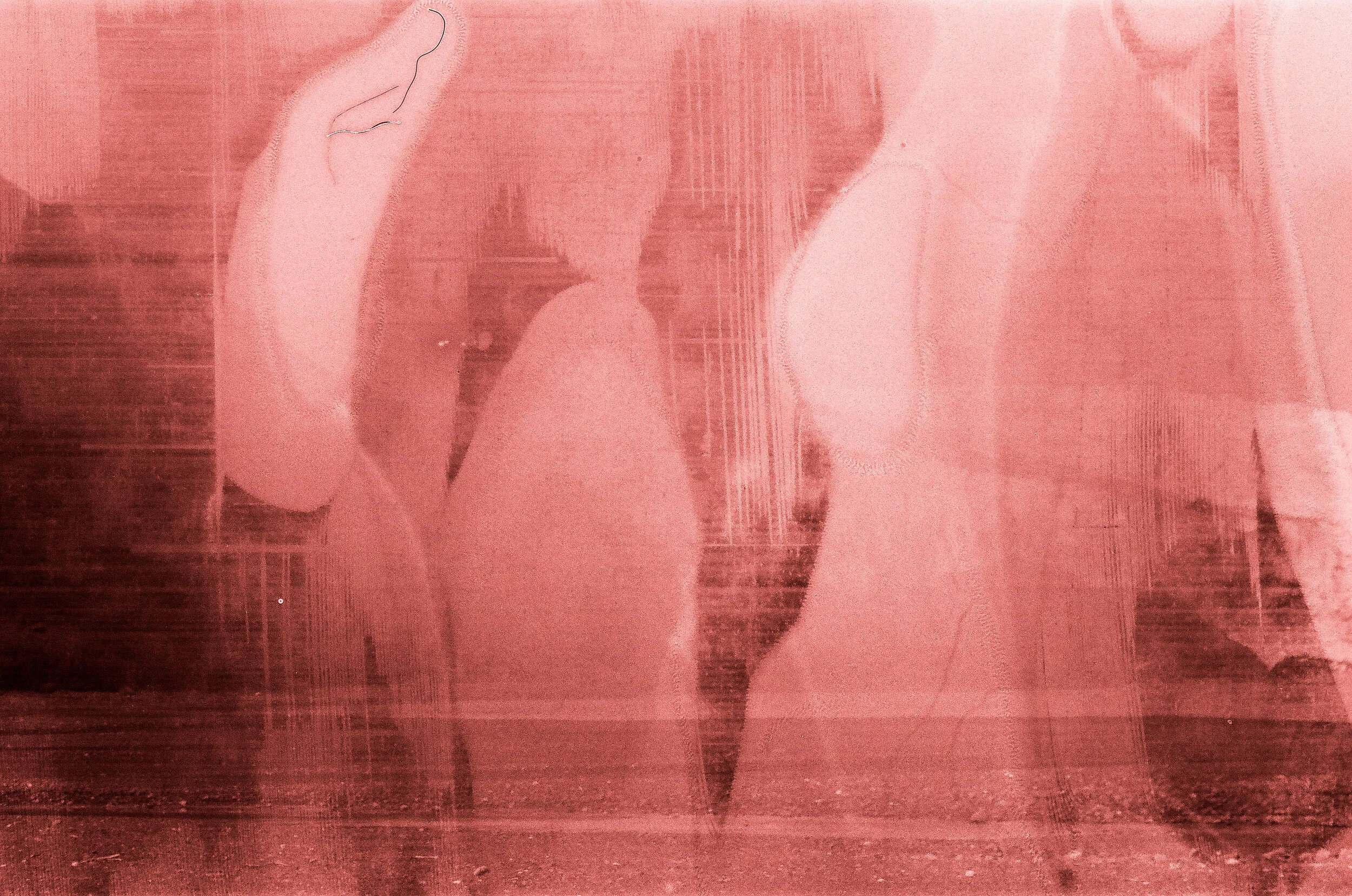 000482280004.jpg