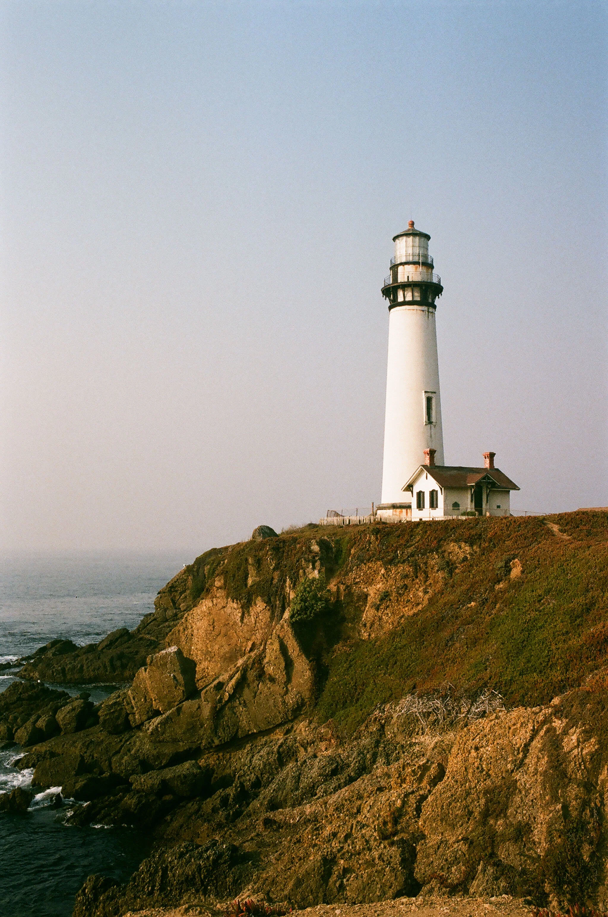 18420027.jpg
